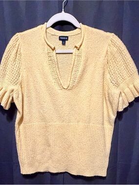 torrid Pale Yellow Knit V-Neck Short Sleeve Sweater Top
